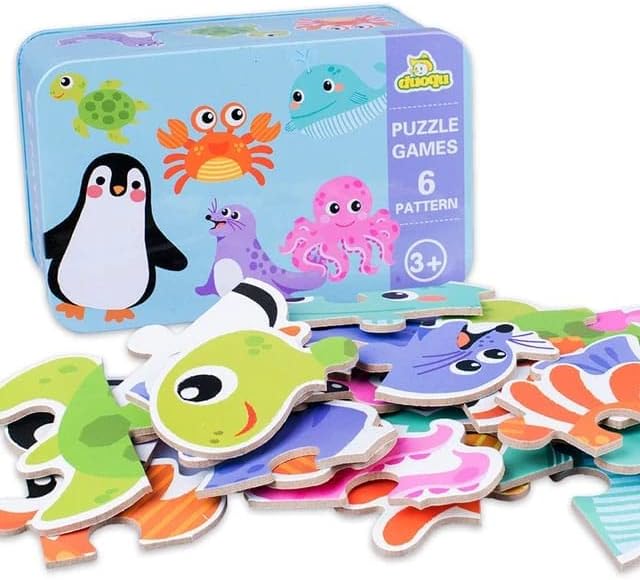Duoqu Educational Puzzle Set in Metal Storage Box – 6 Puzzles