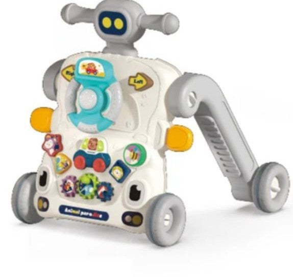 Multi-Function Baby Activity Walker