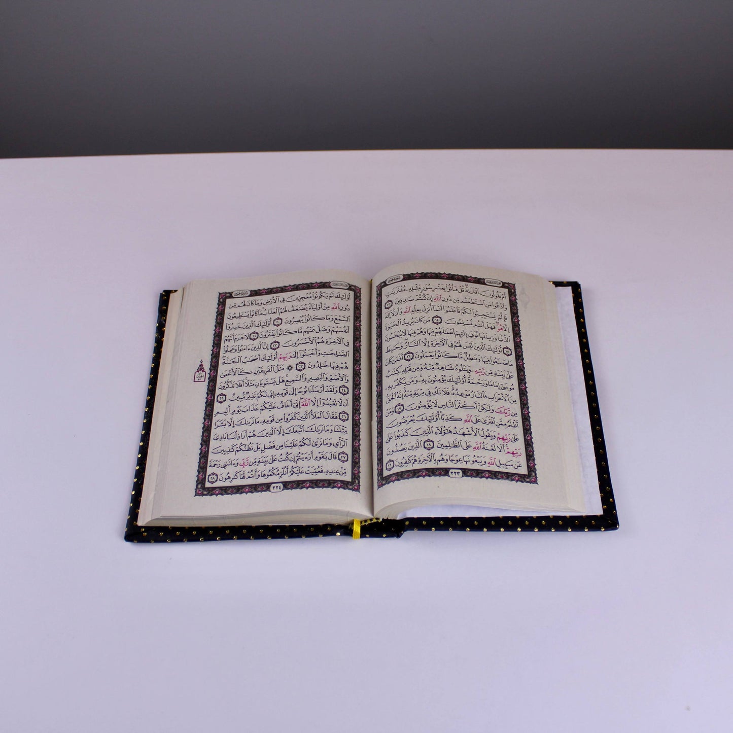 Padded Dotted Quran with Gold Frame