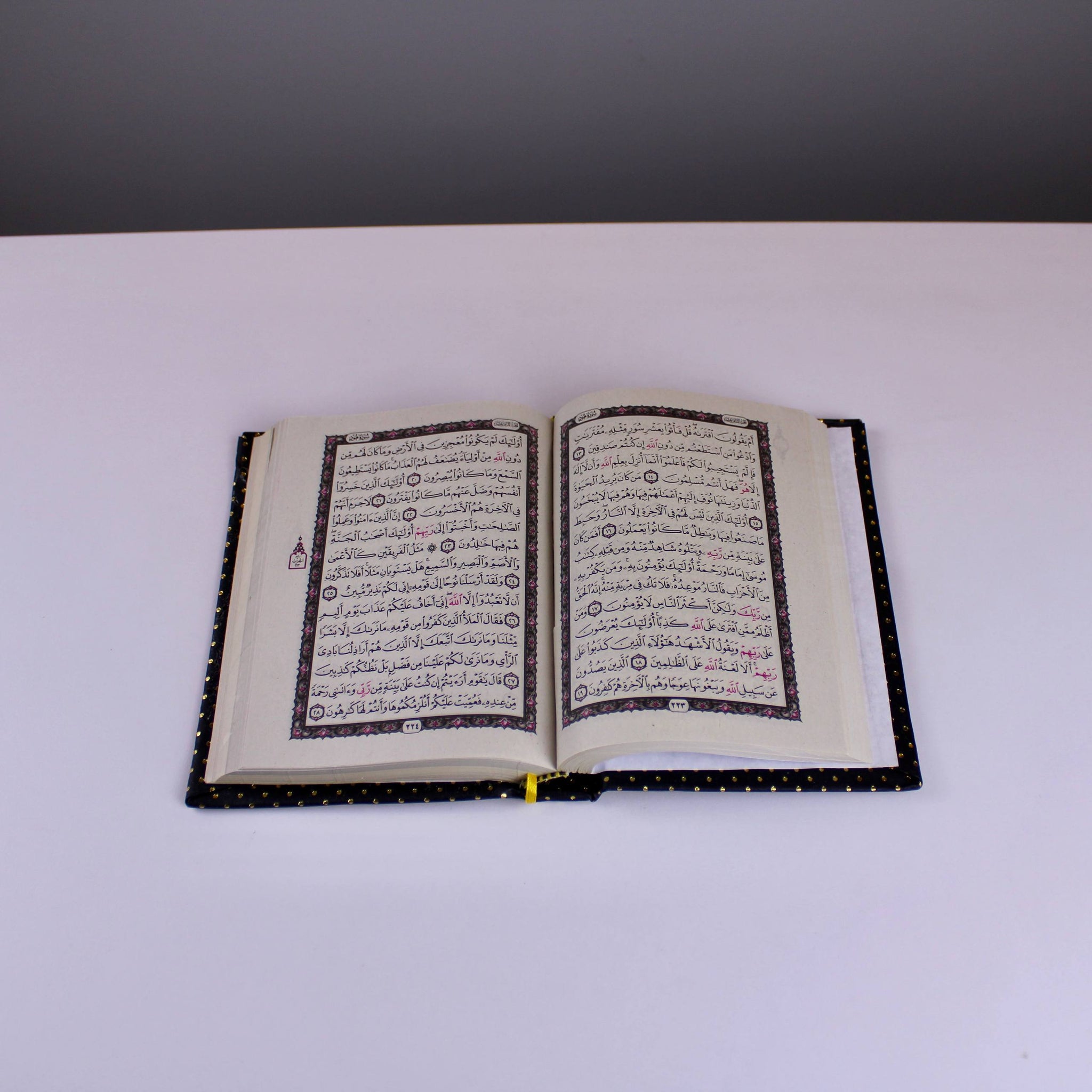 Padded Dotted Quran with Gold Frame