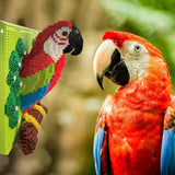Macaw Parrot Building Blocks Model – 2008 Pieces | Colorful Nature Display Set