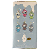Labubu Surprise Doll – Mystery Edition