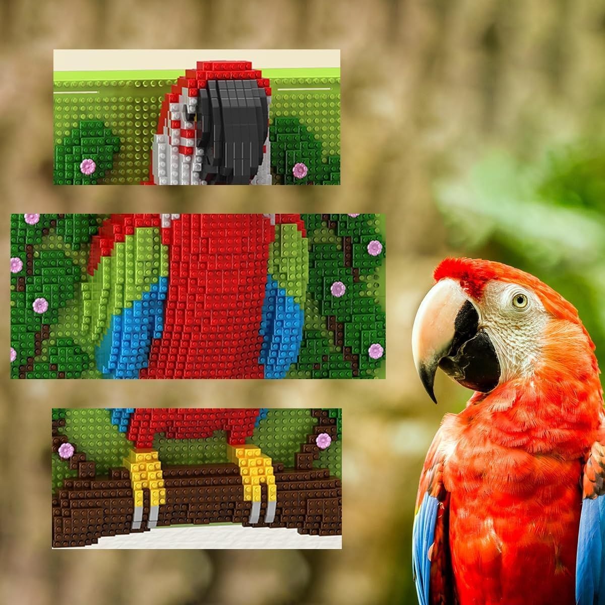 Macaw Parrot Building Blocks Model – 2008 Pieces | Colorful Nature Display Set