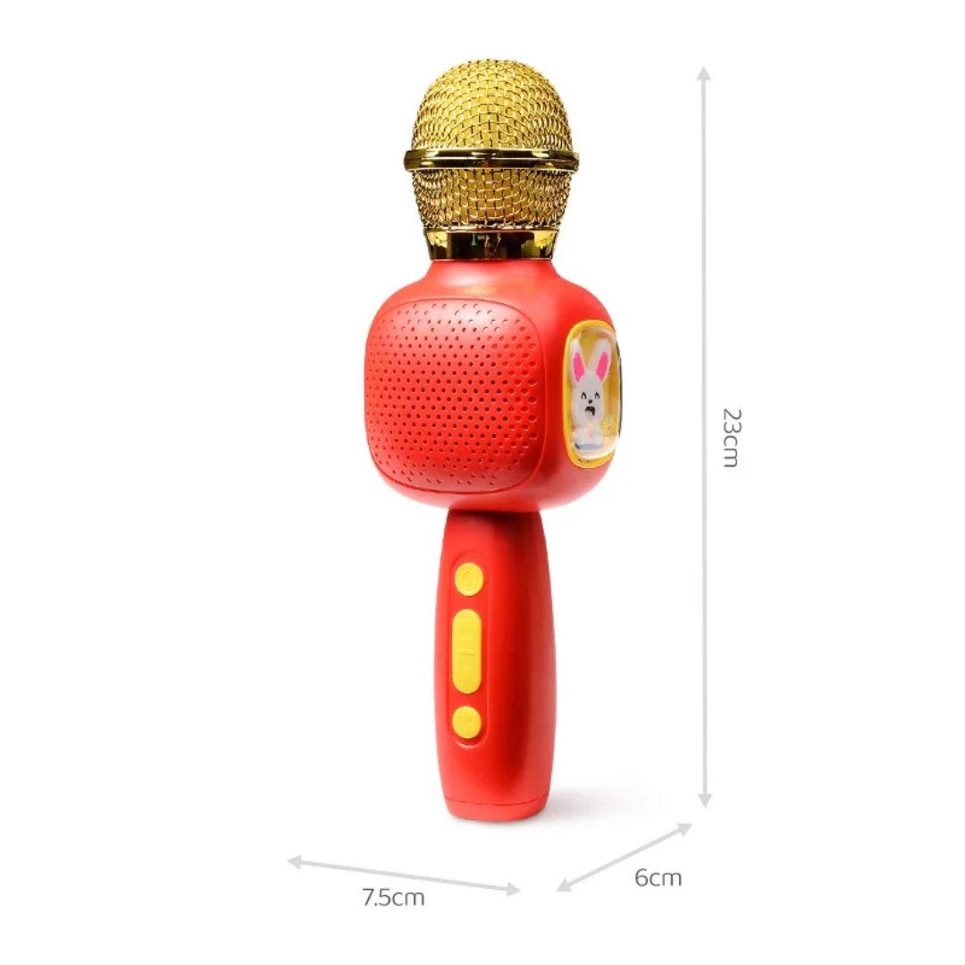 Singer Microphone 2-in-1 – Bluetooth Karaoke Microphone & Speaker for Kids